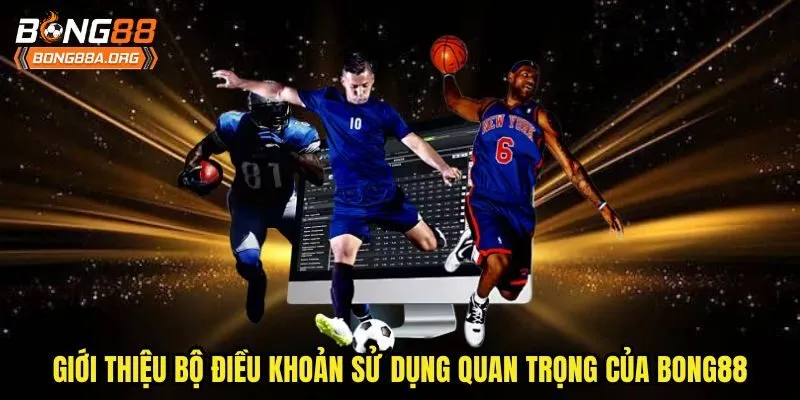 Giới thiệu bộ điều khoản sử dụng quan trọng của bong88