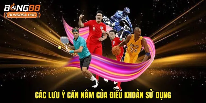 Các lưu ý cần nắm của điều khoản sử dụng